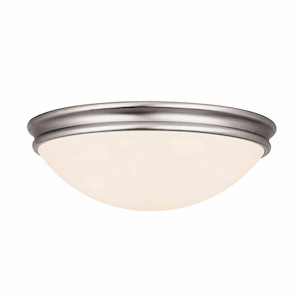 Atom-Flush Mount-12.5 Inches Wide by 3.5 Inches Tall