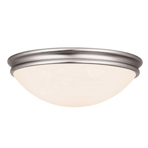 Atom-Flush Mount-14 Inches Wide by 4 Inches Tall - 758444