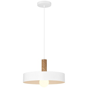 Slate - 1 Light Pendant-8 Inches Tall and 13.75 Inches Wide
