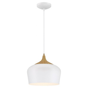 Blend - 1 Light Pendant In Contemporary Style-9 Inches Tall and 12 Inches Wide