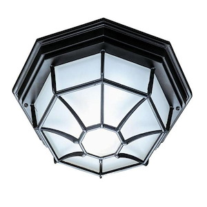 Two Light Outdoor Flush Mount - 11 Inches Wide by 5 Inches High