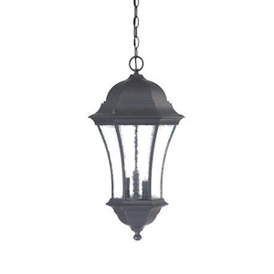 Waverly - Three Light Outdoor Hanging Lantern - 12.5 Inches Wide by 23.5 Inches High - 1090118
