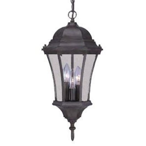 Brynmawr - Three Light Outdoor Hanging Lantern - 9 Inches Wide by 20 Inches High