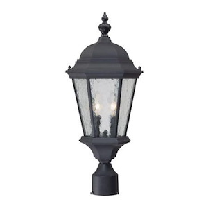 Telfair - Two Light Post - 9.5 Inches Wide by 21.5 Inches High - 1223322