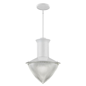 Skylar - One Light Pendant in Industrial Style - 16 Inches Wide by 21.5 Inches High
