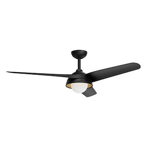 Rubio - 3 Blade Ceiling Fan with Light Kit-54 Inches Wide