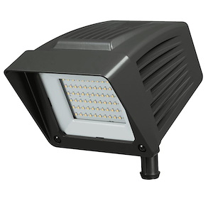 Extra Wide Small LED Flood Light