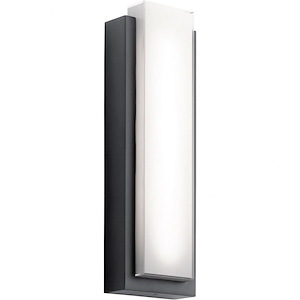 East Suffolk Road - 69.8W 2 LED Large Outdoor Wall Lantern - with Soft Contemporary inspirations - 25.25 inches tall by 8 inches wide