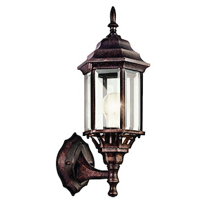 Lantern Design 1-Light Outdoor Wall Mount in Tannery Bronze Finish with Clear Beveled Glass 6.5 inches W x 17 inches H