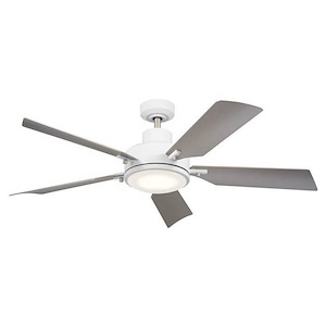 Carnock Road - 5 Blade Ceiling Fan with Light Kit In Industrial Style-14.5 Inches Tall and 54 Inches Wide