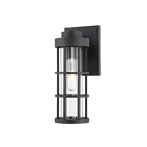 Blythe Leaze - 1 Light Small Outdoor Wall Sconce - 11.5 Inches Tall and 4.75 Inches Wide
