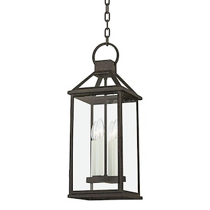 Widow Fen Lane - 4 Light Large Outdoor Hanging Lantern - 22.25 Inches Tall and 8.5 Inches Wide