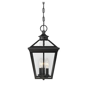 3 Light Outdoor Hanging Lantern-Modern Farmhouse Style with Rustic and Transitional Inspirations-15.75 inches tall by 9 inches wide