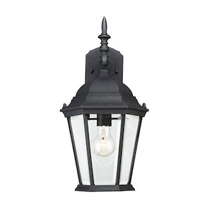 1 Light Outdoor Wall Lantern-Traditional Style with Transitional Inspirations-18 inches tall by 9 inches wide - 1270017