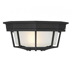 1 Light Outdoor Flush Mount-Industrial Style with Vintage and Contemporary Inspirations-13.5 inches tall by 5 inches wide - 1232910