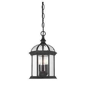 3 Light Outdoor Hanging Lantern-Traditional Style with Transitional and Rustic Inspirations-13.75 inches tall by 8.25 inches wide - 1096650