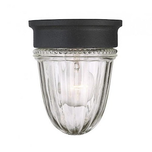 1 Light Jelly Jar Outdoor Wall Lantern-Traditional Style with Transitional Inspirations-6.75 inches tall by 5.38 inches wide - 1233726
