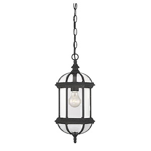 1 Light Outdoor Hanging Lantern-Traditional Style with Transitional and Rustic Inspirations-18 inches tall by 8.25 inches wide - 1233825