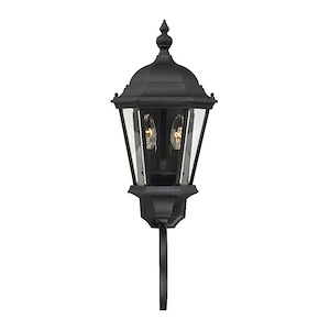 2 Light Outdoor Wall Lantern-Traditional Style with Transitional Inspirations-24.75 inches tall by 9.25 inches wide - 1233785