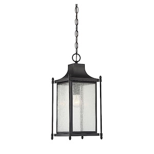 1 Light Outdoor Hanging Lantern-Transitional Style with Modern Farmhouse and Contemporary Inspirations-18.75 inches tall by 8 inches wide
