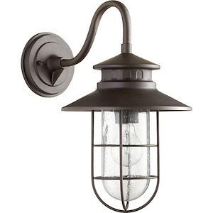 Shirley Paddock - 1 Light Medium Outdoor Wall Lantern in Transitional style - 9.5 inches wide by 15.75 inches high - 1149349