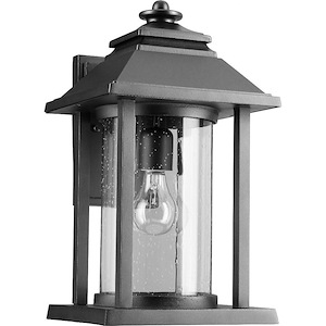 Elderberry Cliff - 1 Light Outdoor Wall Lantern in Transitional style - 8.75 inches wide by 16 inches high - 1153162