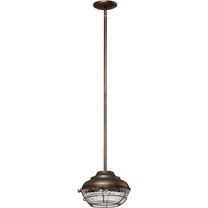 Chapman Ridings - 1 Light Outdoor Pendant in Transitional style - 9.75 inches wide by 10 inches high