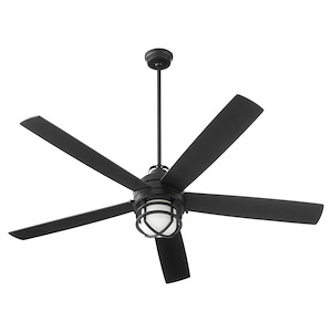 Fitzroy Hawthorns - 5 Blade Ceiling Fan with Light Kit-20.25 Inches Tall and 64 Inches Wide