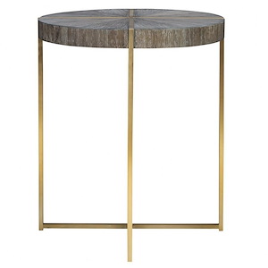 24 inch Contemporary Round Accent Table with Steel Frame and Acacia Veneer Top - Side Table - 1238693