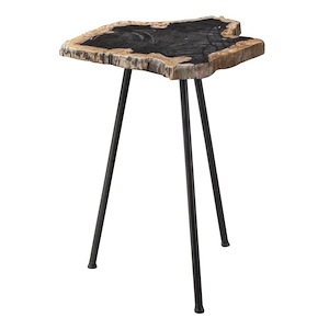 20 inch Free Form Accent Table with Iron Legs - Nature Inspired Side Table