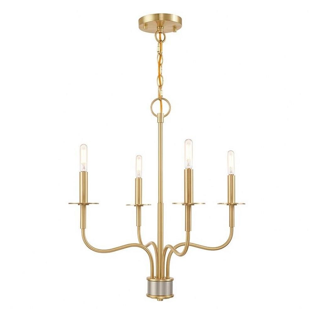 Bailey Street Home 218-BEL-2944725 Pemberton Glade - 4 Light Mini Chandelier in Farmhouse Style - 20 Inches wide by 22 Inches high