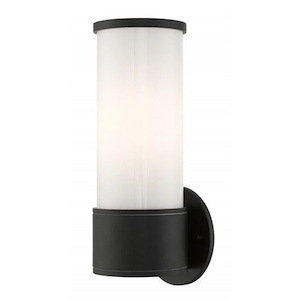 Hesketh Common - 1 Light Outdoor Wall Lantern in Contemporary Style - 4.5 Inches wide by 12 Inches high - 1268955