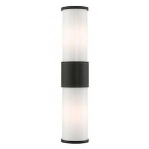 Hesketh Common - 2 Light Outdoor Wall Lantern in Contemporary Style - 20.25 Inches wide by 4.5 Inches high
