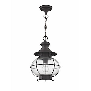Avenue Gardens - 1 Light Outdoor Chain Lantern in Coastal Style - 10.5 Inches wide by 15 Inches high