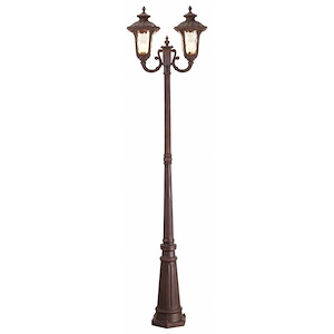 Foxglove Glebe - 2 Light Outdoor 2 Head Post in Traditional Style - 22 Inches wide by 87 Inches high - 1120953