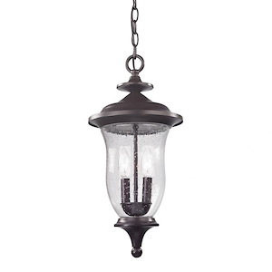 Townsend Hollies - Two Light Medium Outdoor Hanging Lantern - 1240348