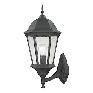 Tower Down - 1 Light Large Outdoor Coach Lantern