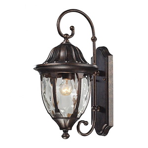 Exposed Bulb Porch Light - One Light Outdoor Wall Mount