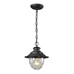Exposed Bulb Round Globe One Light Outdoor Pendant - Coastal Style Hanging Outdoor Ceiling Light