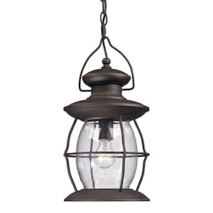 One Light Outdoor Caged Hanging Pendant Lantern - Exposed Bulb Cylinder Outdoor Ceiling Light