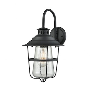 Caged 1-Light Outdoor Wall Lamp in Textured Matte Black with Clear Seedy Glass 8 inches W x 15 inches H