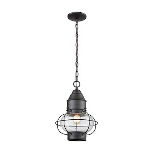 Wire Cage Design One Light Outdoor Round Globe Pendant with Coastal Style - Outdoor Ceiling Light