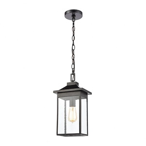 Exposed Bulb One Light Outdoor Rectangular Hanging Lantern - Transition Outdoor Pendant Ceiling Light