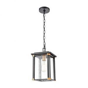 Rectangular One Light Outdoor Hanging Lantern Ceiling Light with Brass Accents - Exposed Bulb Outdoor Pendant Light