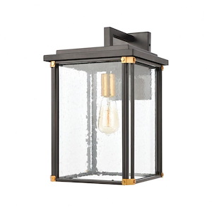 Exposed Bulb Rectangular One Light Outdoor Wall Sconce - Transitional Porch Light with Brass Accents