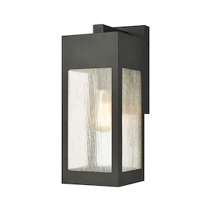 Lucerne View-1 Light Outdoor Wall Sconce in Modern/Contemporary Style-13 Inches tall and 4.75 inches wide