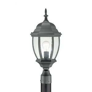 Exposed Bulb One Light Outdoor Post Lantern - Traditional Barrel Post Light