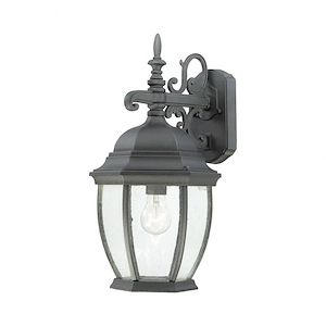 Birdcage One Light Outdoor Wall Lantern - Exposed Bub Porch Light with Traditional Design