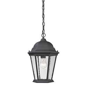 Birdcage One Light Outdoor Hanging Pendant Lantern with Exposed Bulb - Transitional Outdoor Hanging Ceiling Light
