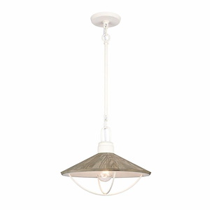 Neville Ride - 1 Light Pendant In Coastal Style-12.5 Inches Tall and 14 Inches Wide - 1274478